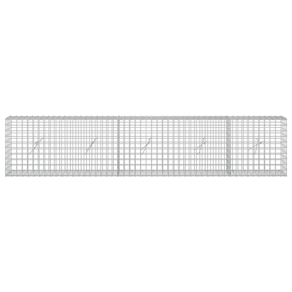 Gabion with 3.5 mm Wire and 5x5 cm Mesh 250x20x50 cm
