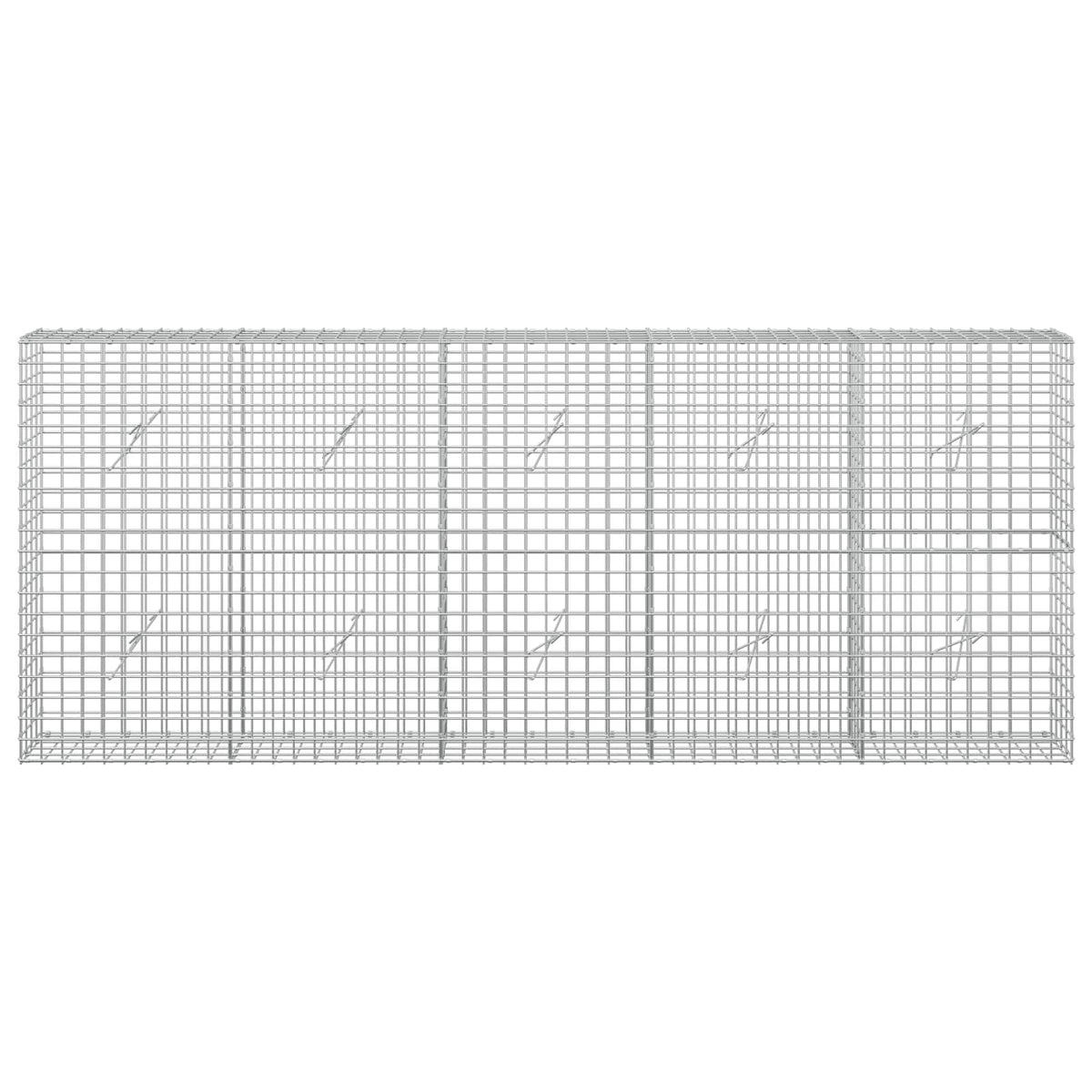 Gabion with 3.5 mm Wire and 5x5 cm Mesh 250x20x100 cm