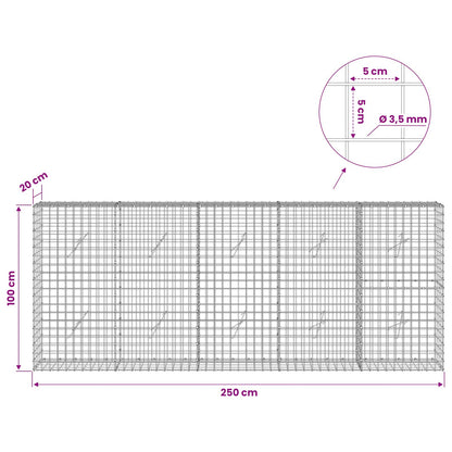 Gabion with 3.5 mm Wire and 5x5 cm Mesh 250x20x100 cm