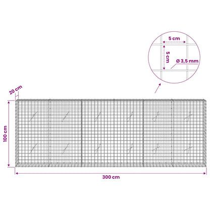 Gabion with 3.5 mm Wire and 5x5 cm Mesh 300x20x100 cm