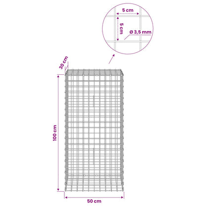 Gabion with 3.5 mm Wire and 5x5 cm Mesh 50x30x100 cm