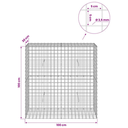 Gabion with 3.5 mm Wire and 5x5 cm Mesh 100x30x100 cm
