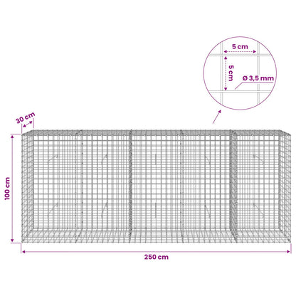 Gabion with 3.5 mm Wire and 5x5 cm Mesh 250x30x100 cm
