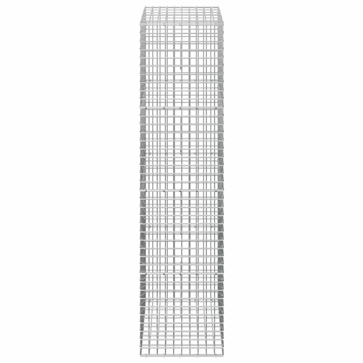 Gabion with 3.5 mm Wire and 5x5 cm Mesh 50x30x200 cm