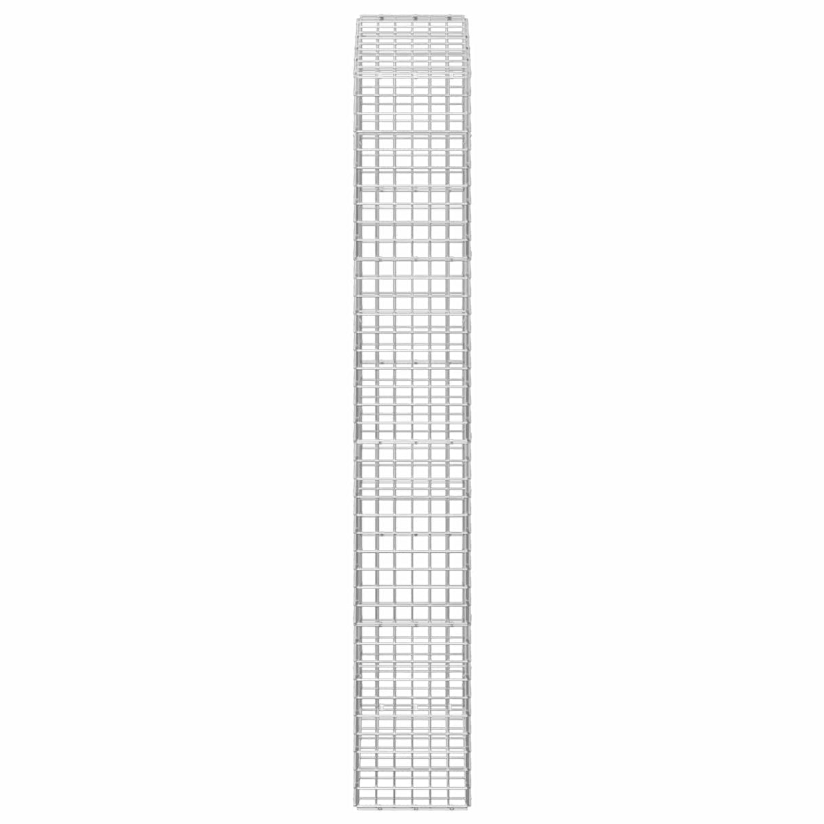 Gabion with 3.5 mm Wire and 5x5 cm Mesh 50x30x200 cm