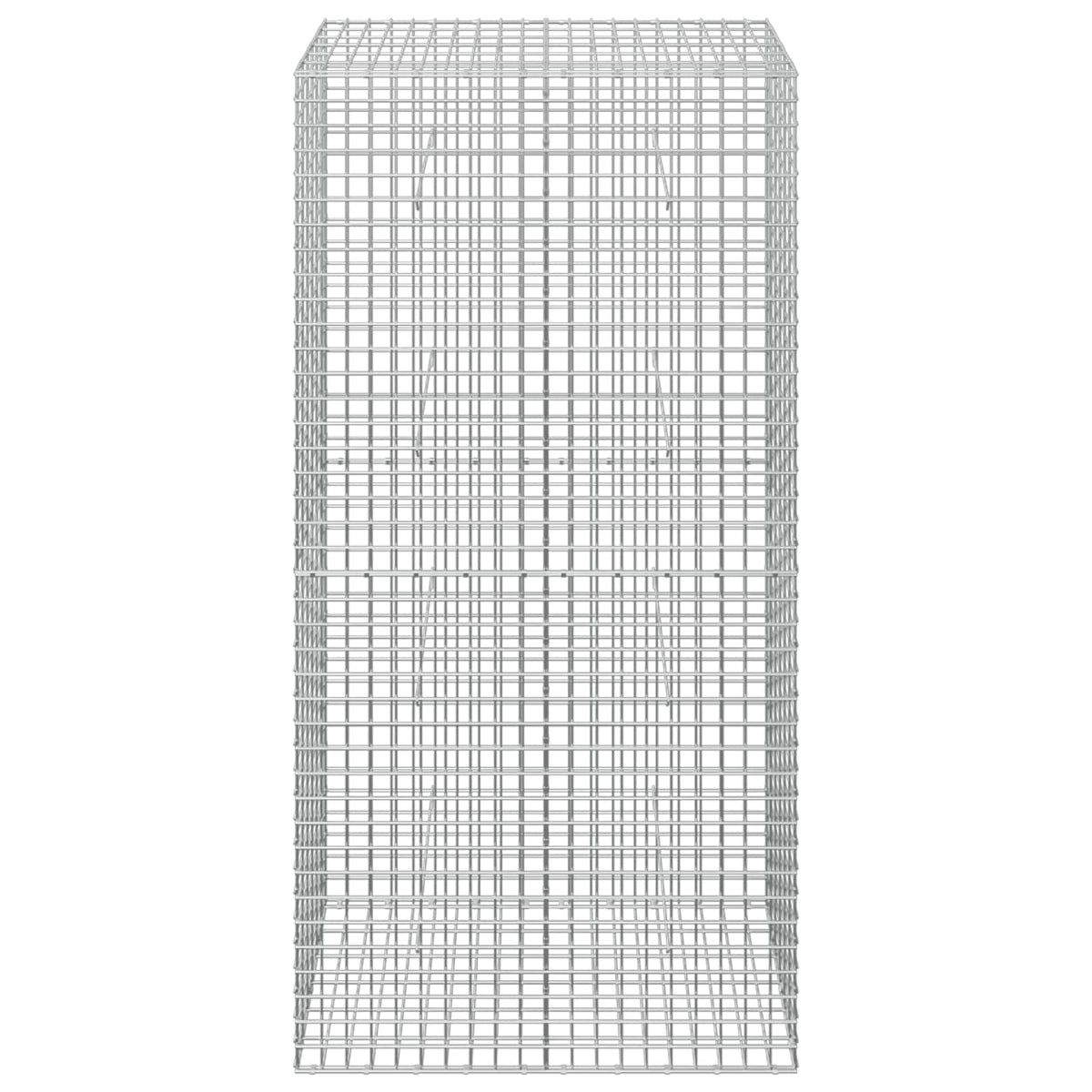 Gabion with 3.5 mm Wire and 5x5 cm Mesh 100x30x200 cm