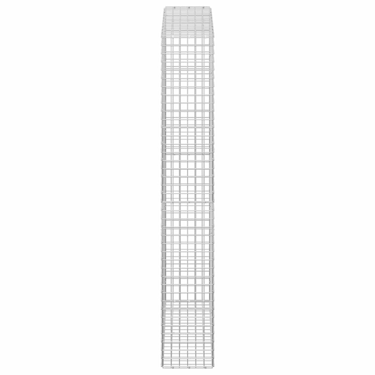 Gabion with 3.5 mm Wire and 5x5 cm Mesh 100x30x200 cm