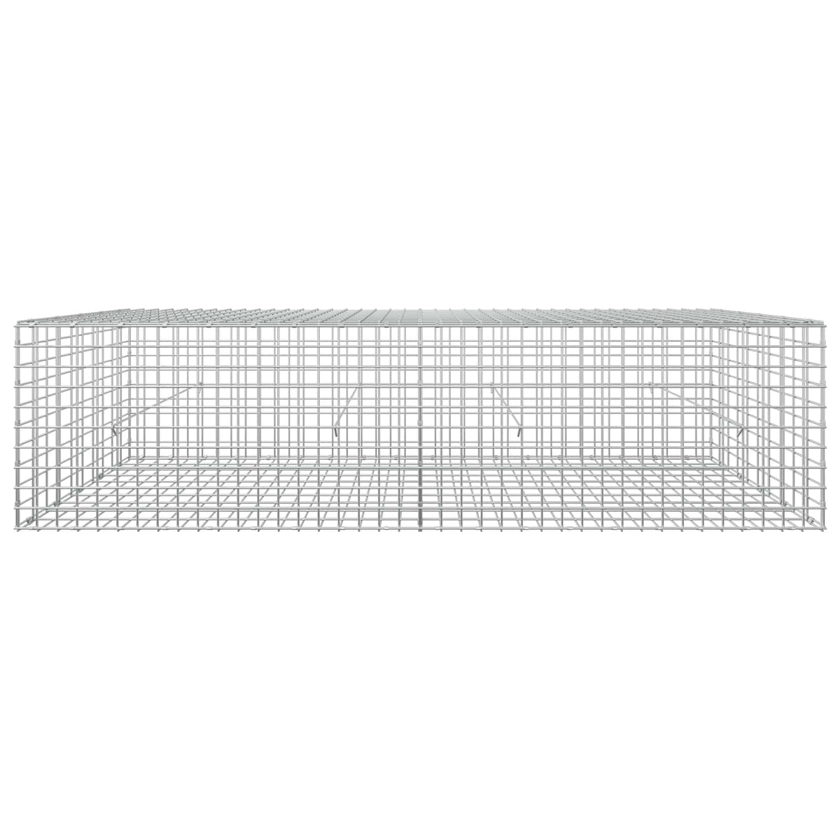 Gabion with 3.5 mm Wire and 5x5 cm Mesh 200x50x50 cm