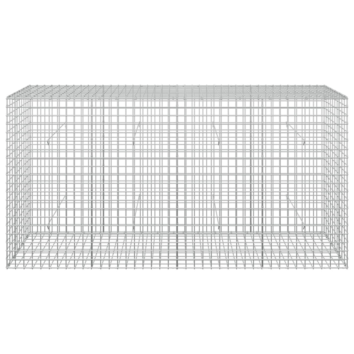 Gabion with 3.5 mm Wire and 5x5 cm Mesh 200x50x100 cm