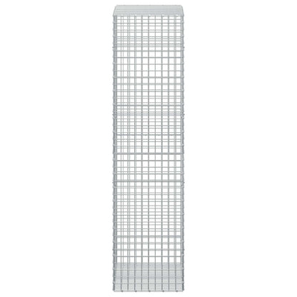 Gabion with 3.5 mm Wire and 5x5 cm Mesh 100x50x200 cm