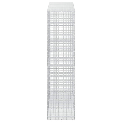 Gabion with 3.5 mm Wire and 5x5 cm Mesh 250x50x200 cm