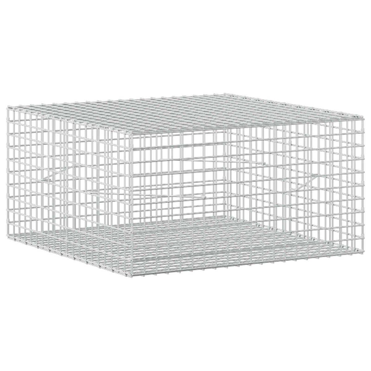 Gabion with 3.5 mm Wire and 5x5 cm Mesh 100x100x50 cm