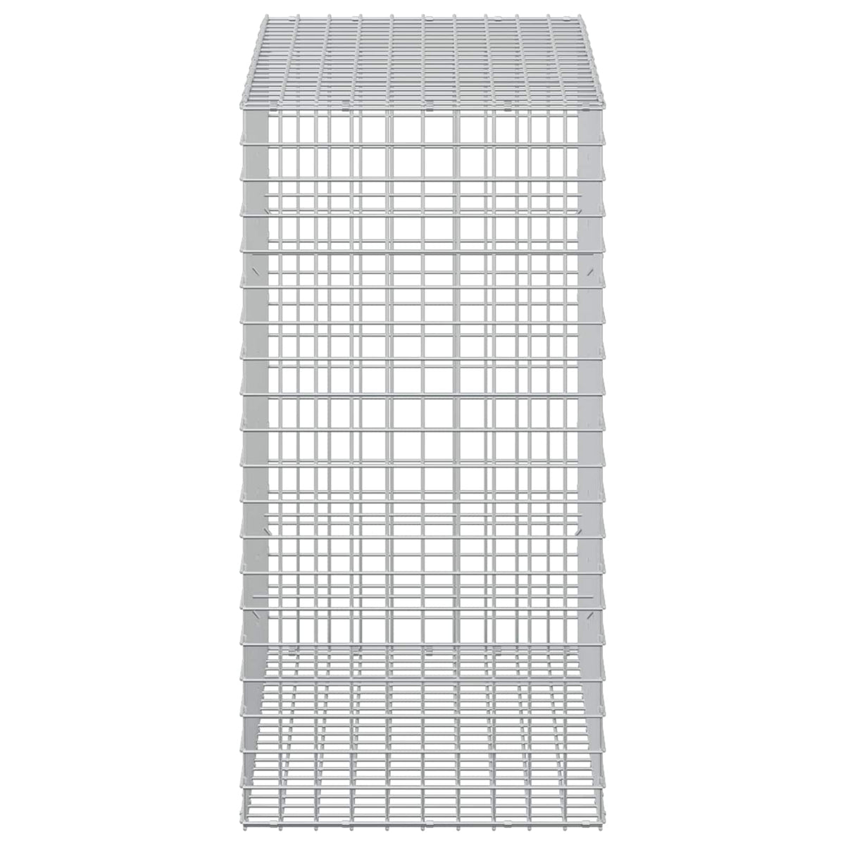 Gabion with 3.5 mm Wire and 5x5 cm Mesh 50x100x100 cm
