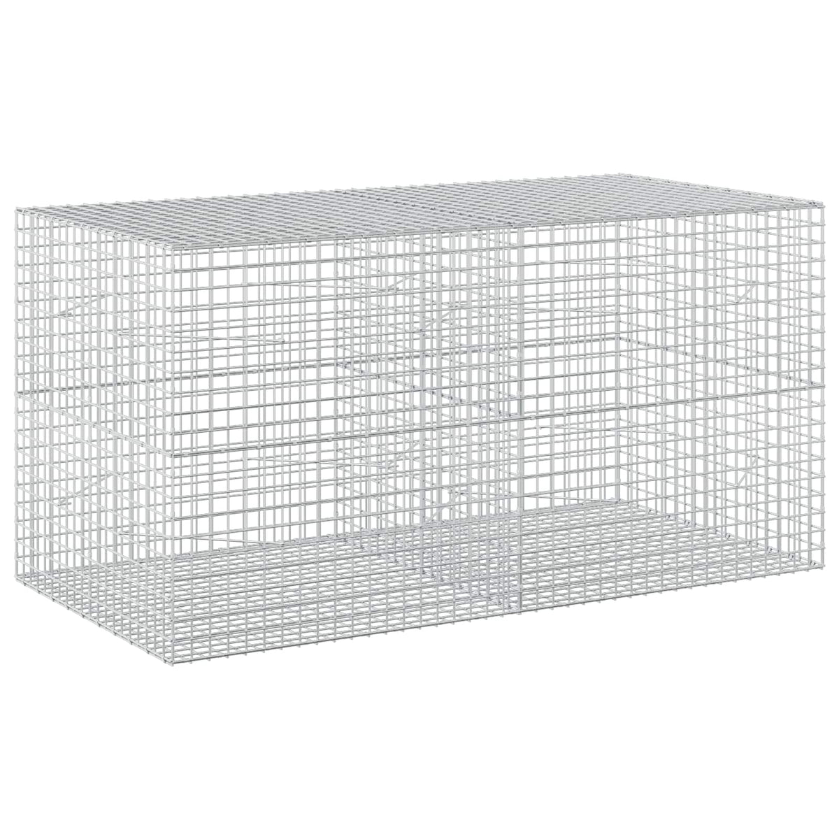 Gabion with 3.5 mm Wire and 5x5 cm Mesh 200x100x100 cm
