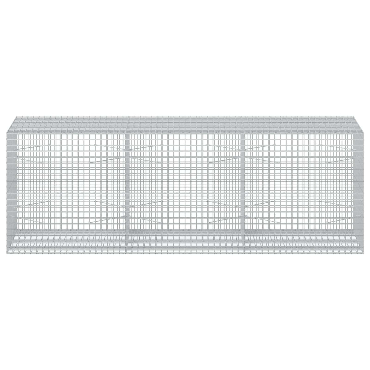 Gabion with 3.5 mm Wire and 5x5 cm Mesh 300x100x100 cm