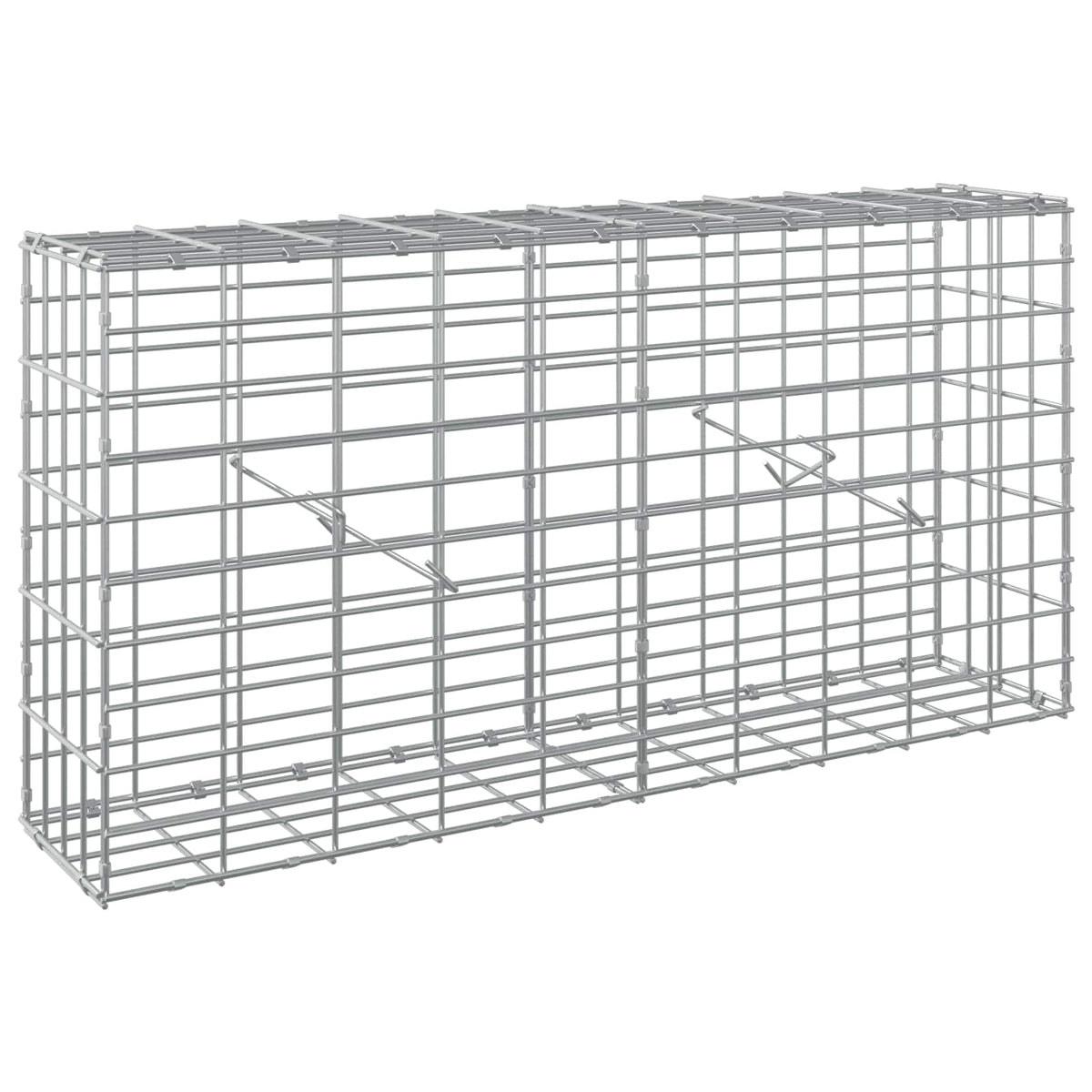 Gabion with 3.5 mm Wire and 5x10 cm Mesh 100x20x50 cm