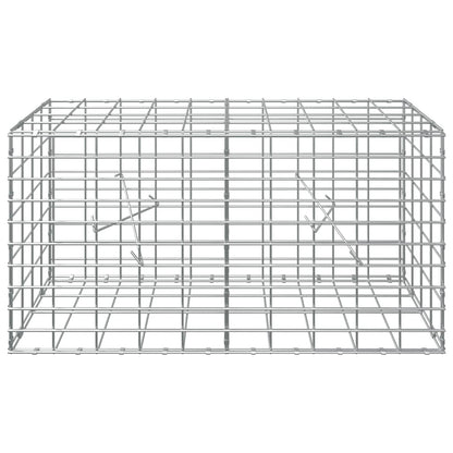 Gabion with 3.5 mm Wire and 5x10 cm Mesh 100x20x50 cm