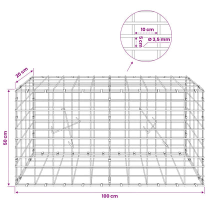 Gabion with 3.5 mm Wire and 5x10 cm Mesh 100x20x50 cm