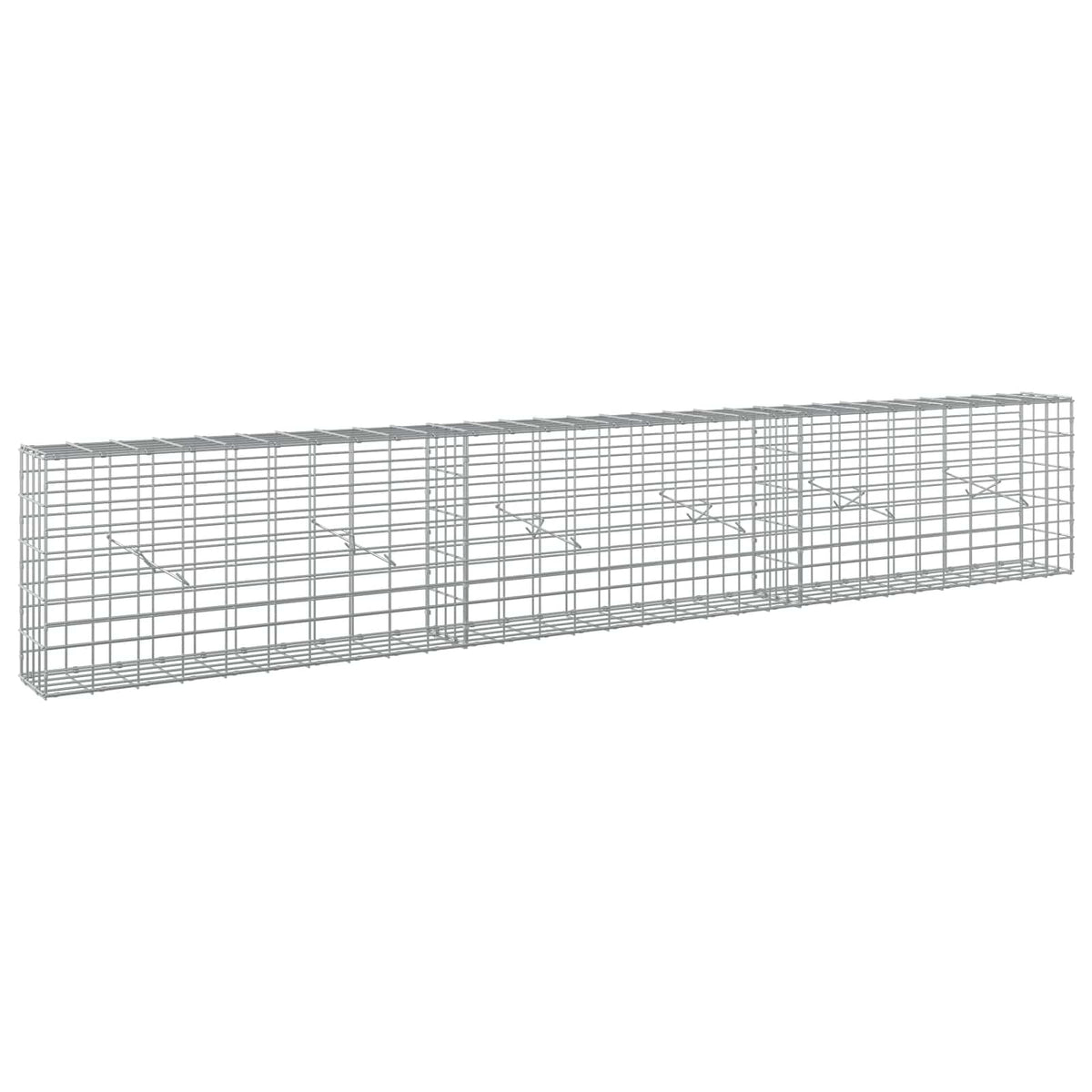 Gabion with 3.5 mm Wire and 5x10 cm Mesh 300x20x50 cm