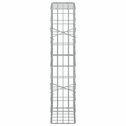 Gabion with 3.5 mm Wire and 5x10 cm Mesh 50x20x100 cm