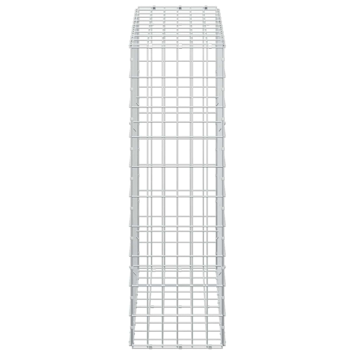 Gabion with 3.5 mm Wire and 5x10 cm Mesh 100x30x100 cm