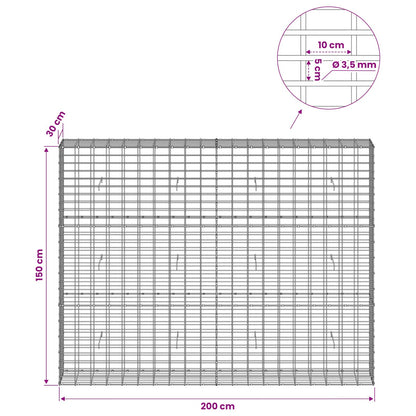 Gabion with 3.5 mm Wire and 5x10 cm Mesh 200x30x150 cm