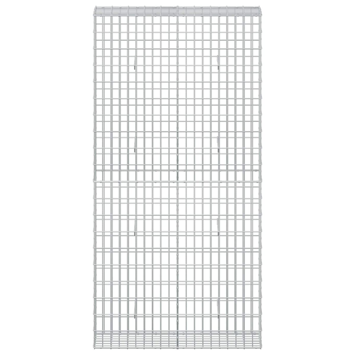 Gabion with 3.5 mm Wire and 5x10 cm Mesh 100x30x200 cm