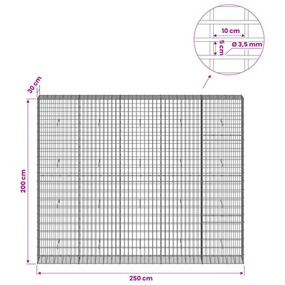 Gabion with 3.5 mm Wire and 5x10 cm Mesh 250x30x200 cm