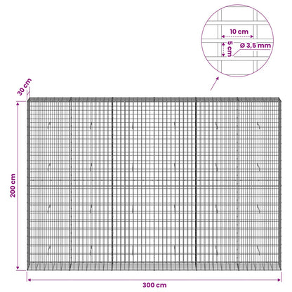 Gabion with 3.5 mm Wire and 5x10 cm Mesh 300x30x200 cm