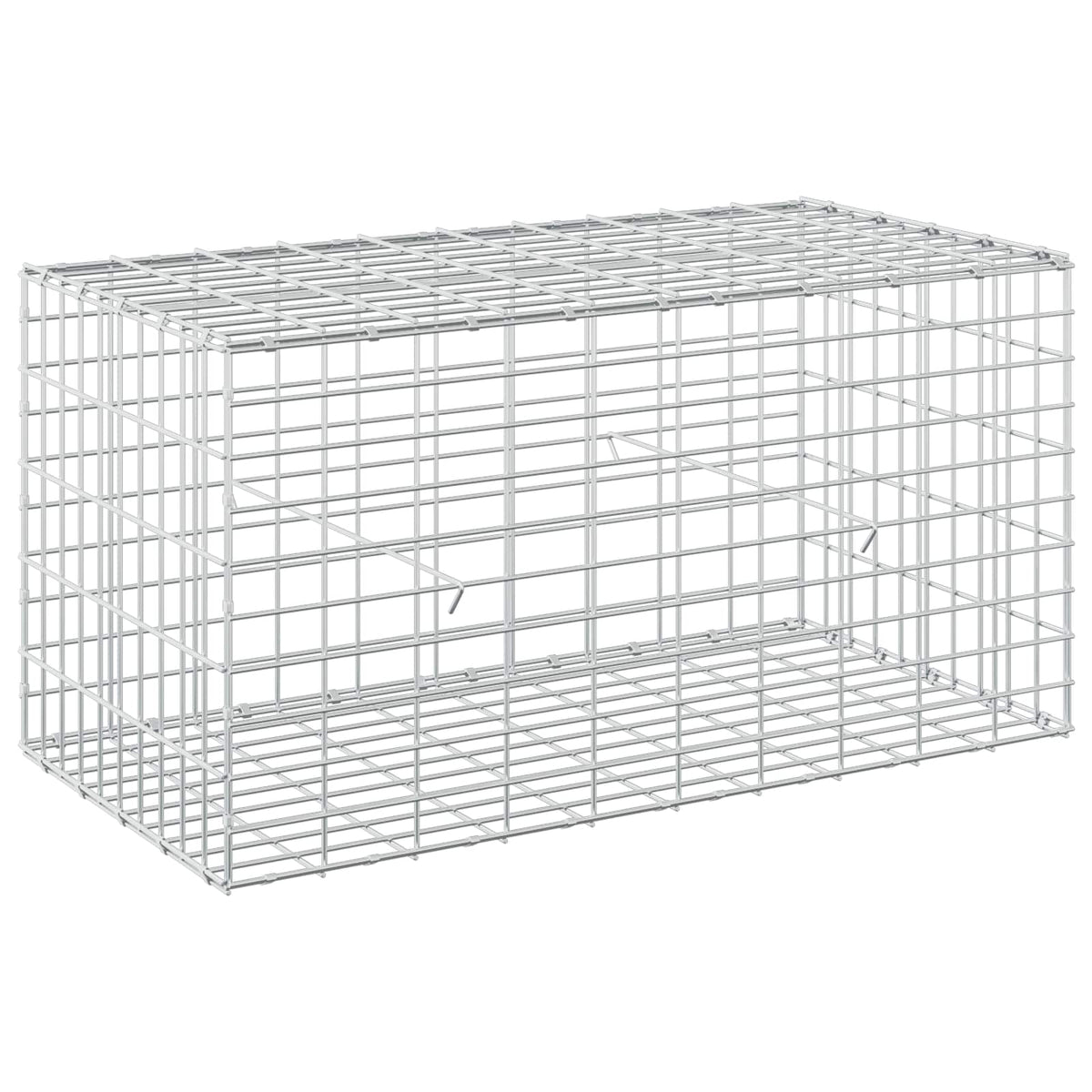 Gabion with 3.5 mm Wire and 5x10 cm Mesh 100x50x50 cm