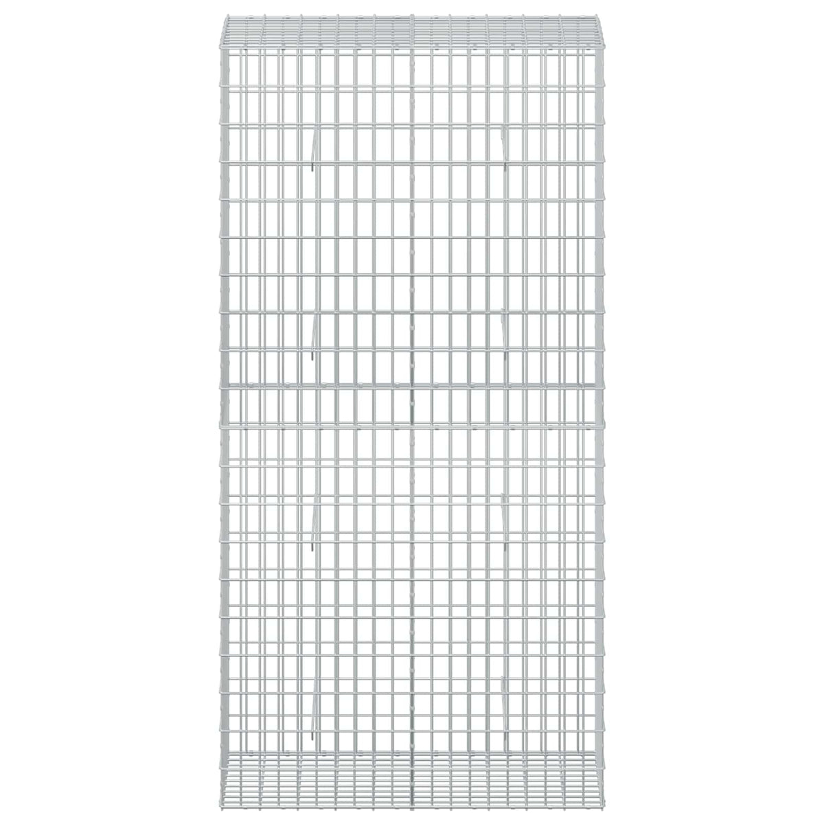Gabion with 3.5 mm Wire and 5x10 cm Mesh 100x50x200 cm