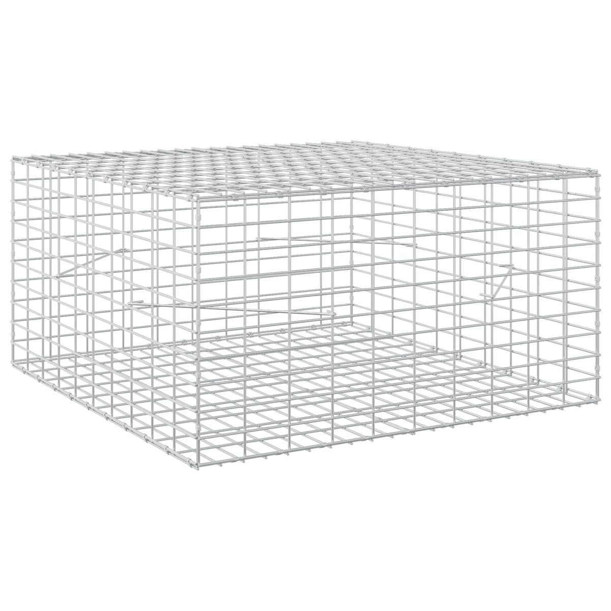 Gabion with 3.5 mm Wire and 5x10 cm Mesh 100x100x50 cm