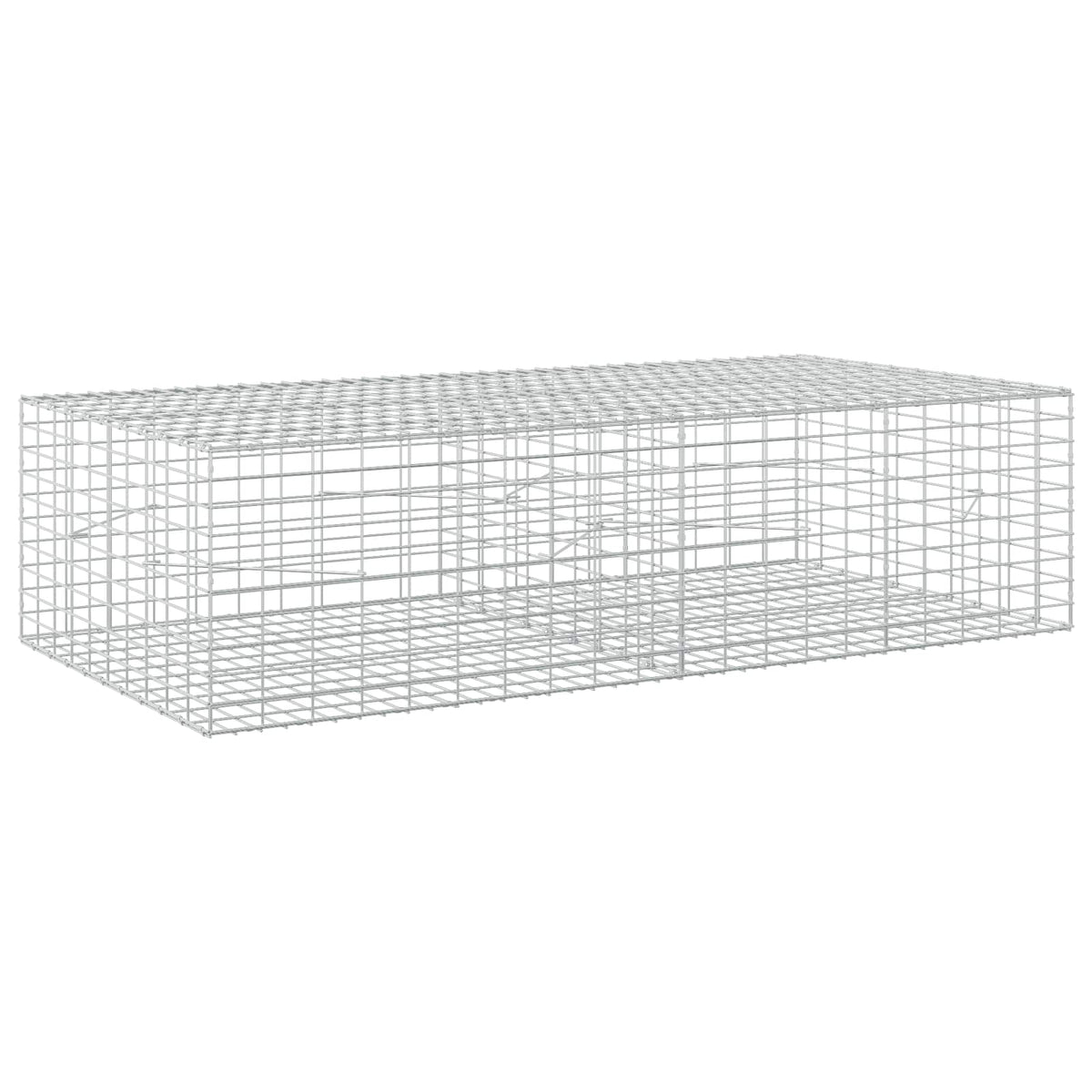Gabion with 3.5 mm Wire and 5x10 cm Mesh 200x100x50 cm
