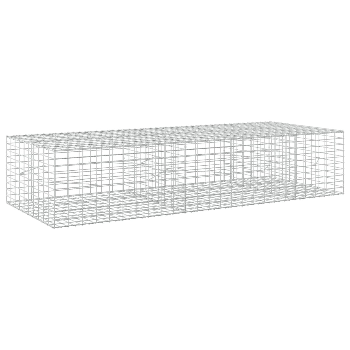 Gabion with 3.5 mm Wire and 5x10 cm Mesh 250x100x50 cm