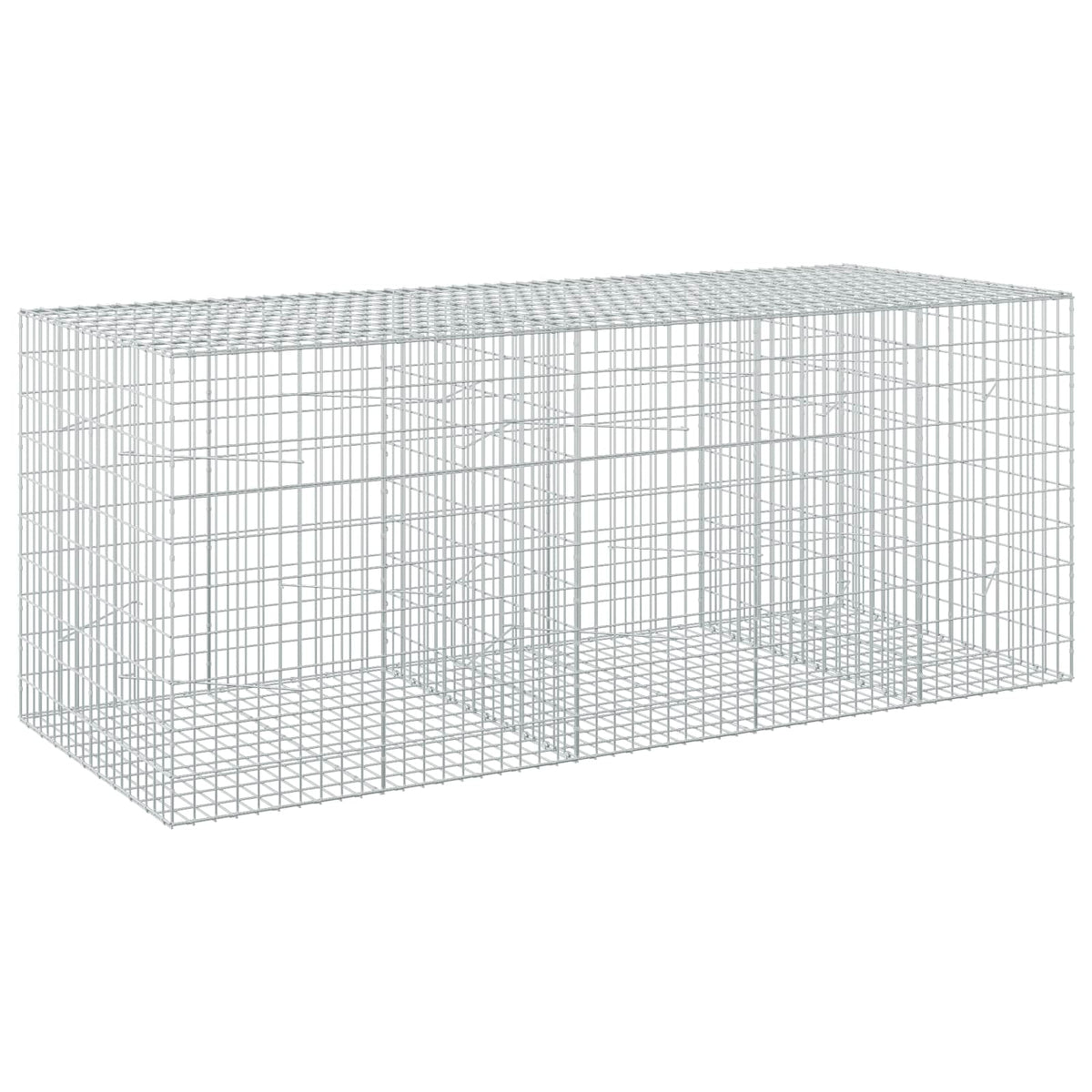 Gabion with 3.5 mm Wire and 5x10 cm Mesh 250x100x100 cm
