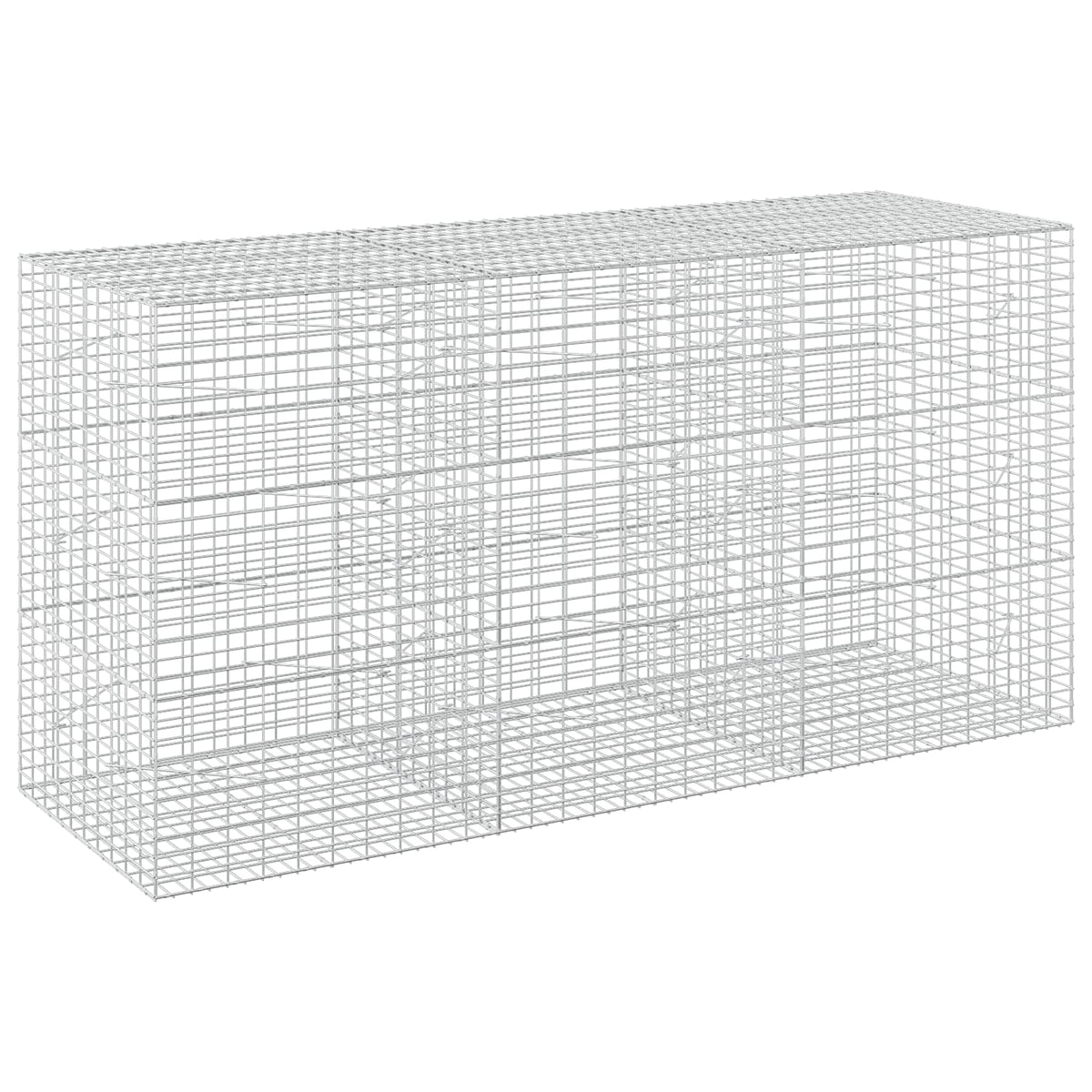 Gabion with 3.5 mm Wire and 5x10 cm Mesh 300x100x150 cm