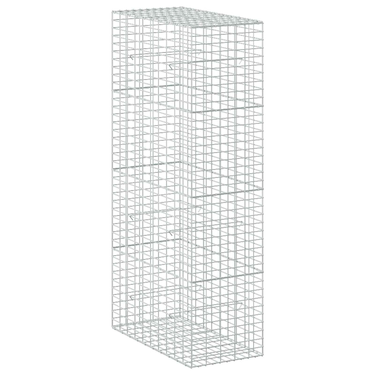 Gabion with 3.5 mm Wire and 5x10 cm Mesh 50x100x200 cm