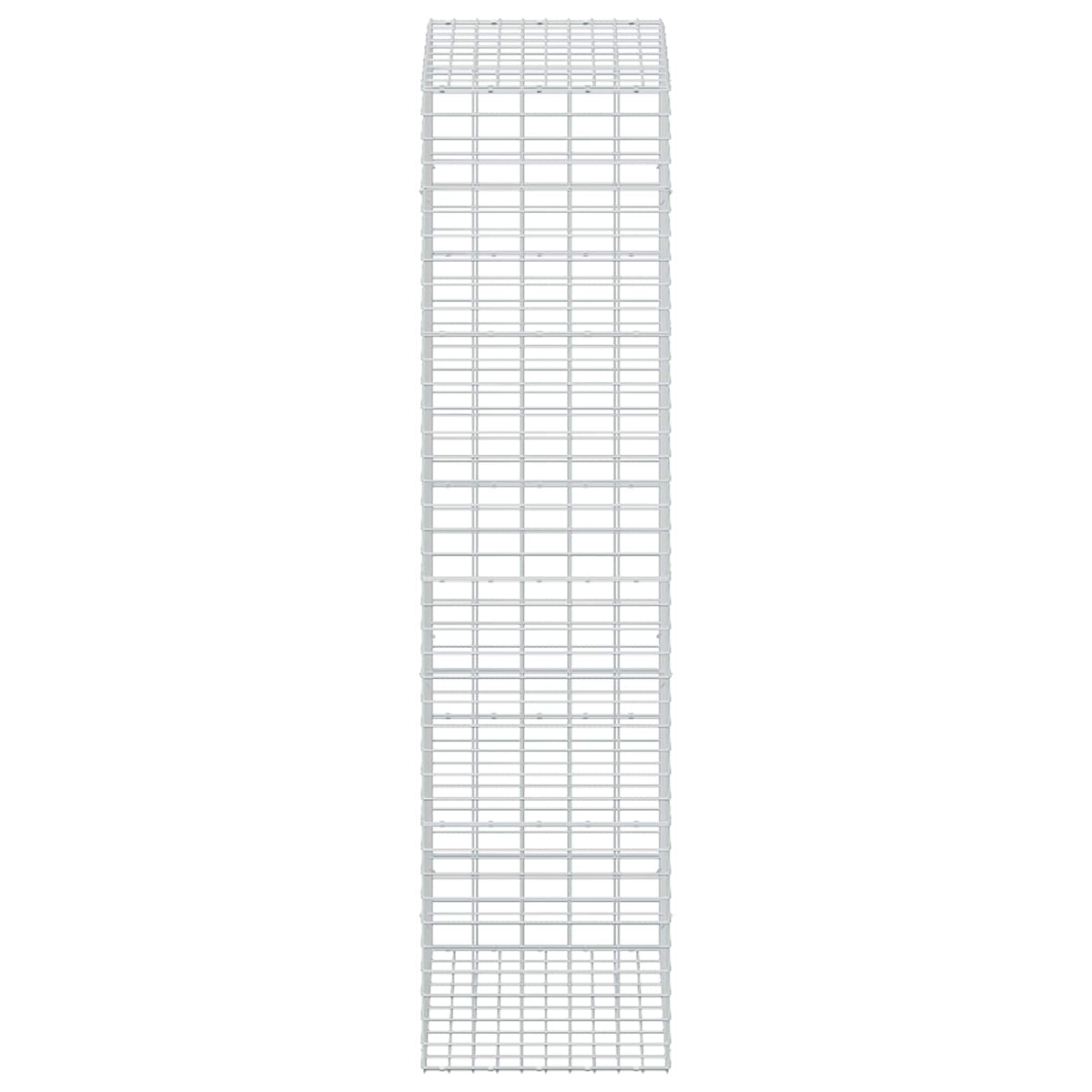 Gabion with 3.5 mm Wire and 5x10 cm Mesh 50x100x200 cm