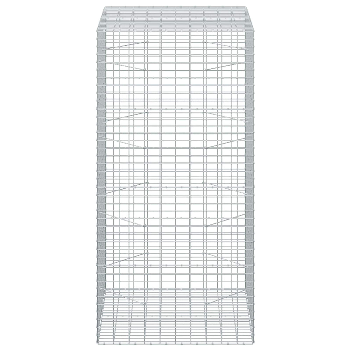 Gabion with 3.5 mm Wire and 5x10 cm Mesh 100x100x200 cm