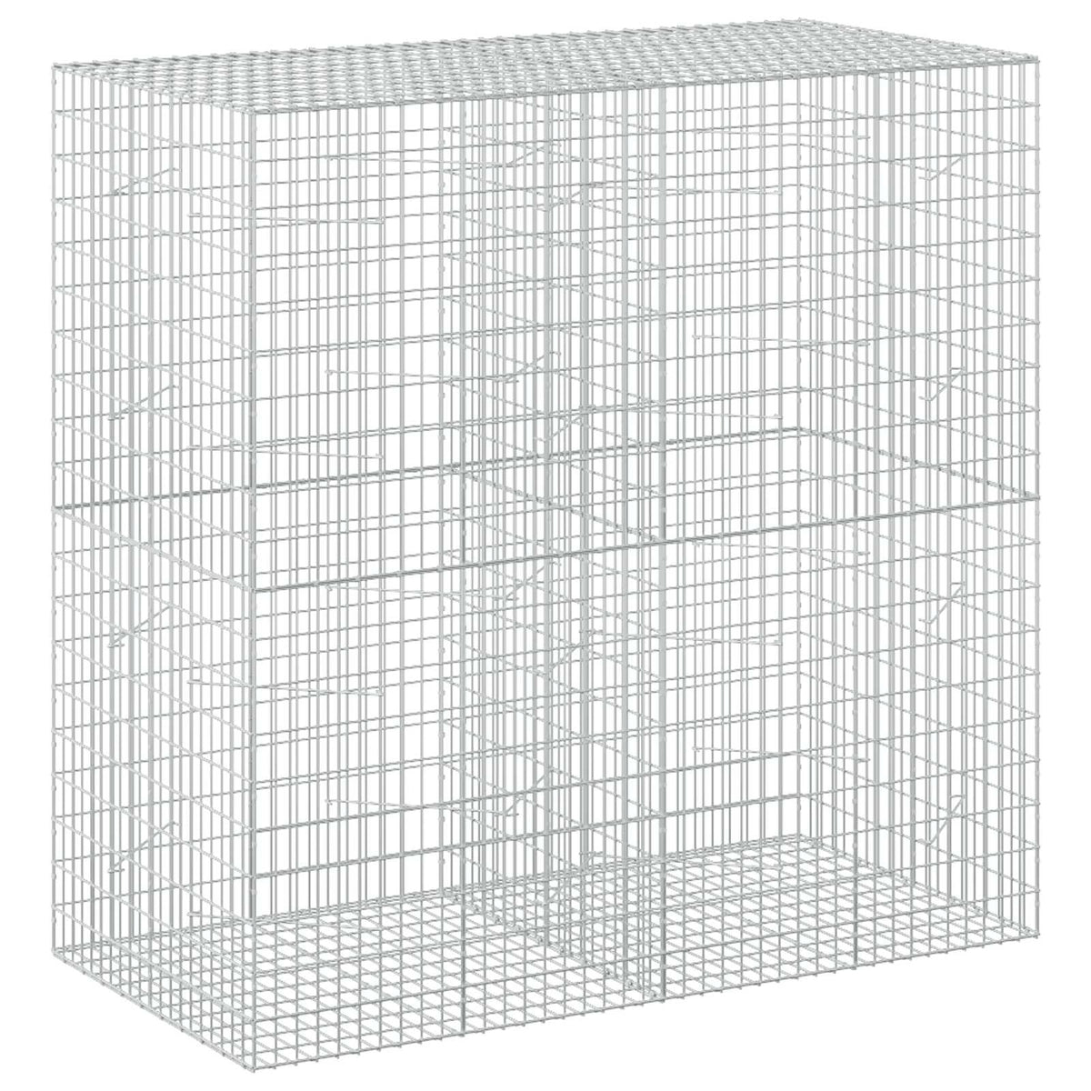 Gabion with 3.5 mm Wire and 5x10 cm Mesh 200x100x200 cm