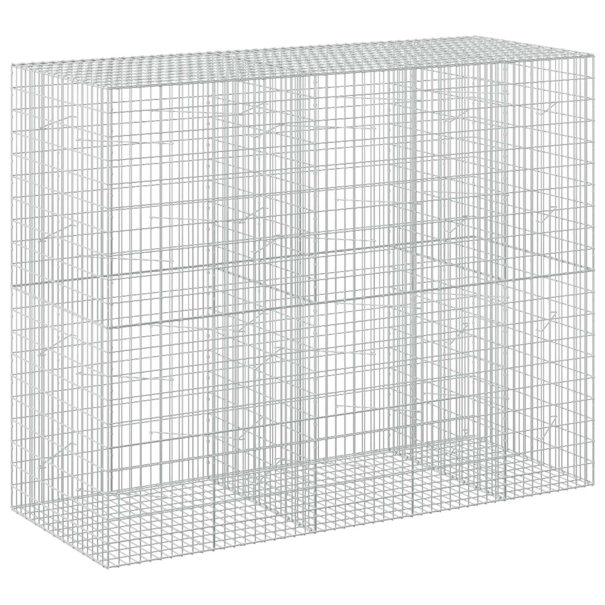 Gabion with 3.5 mm Wire and 5x10 cm Mesh 250x100x200 cm