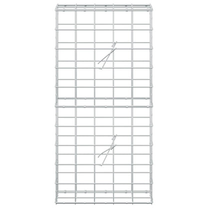 Gabion with 3.5 mm Wire and 10x10 cm Mesh 50x20x100 cm