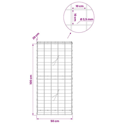 Gabion with 3.5 mm Wire and 10x10 cm Mesh 50x20x100 cm