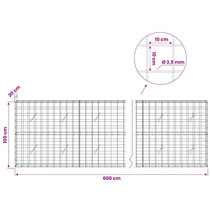 Gabion with 3.5 mm Wire and 10x10 cm Mesh 600x20x100 cm