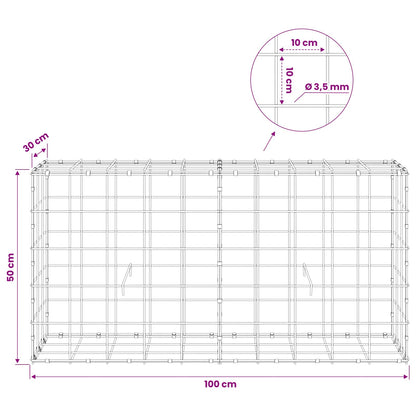 Gabion with 3.5 mm Wire and 10x10 cm Mesh 100x30x50 cm