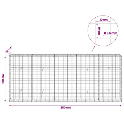 Gabion with 3.5 mm Wire and 10x10 cm Mesh 250x30x100 cm