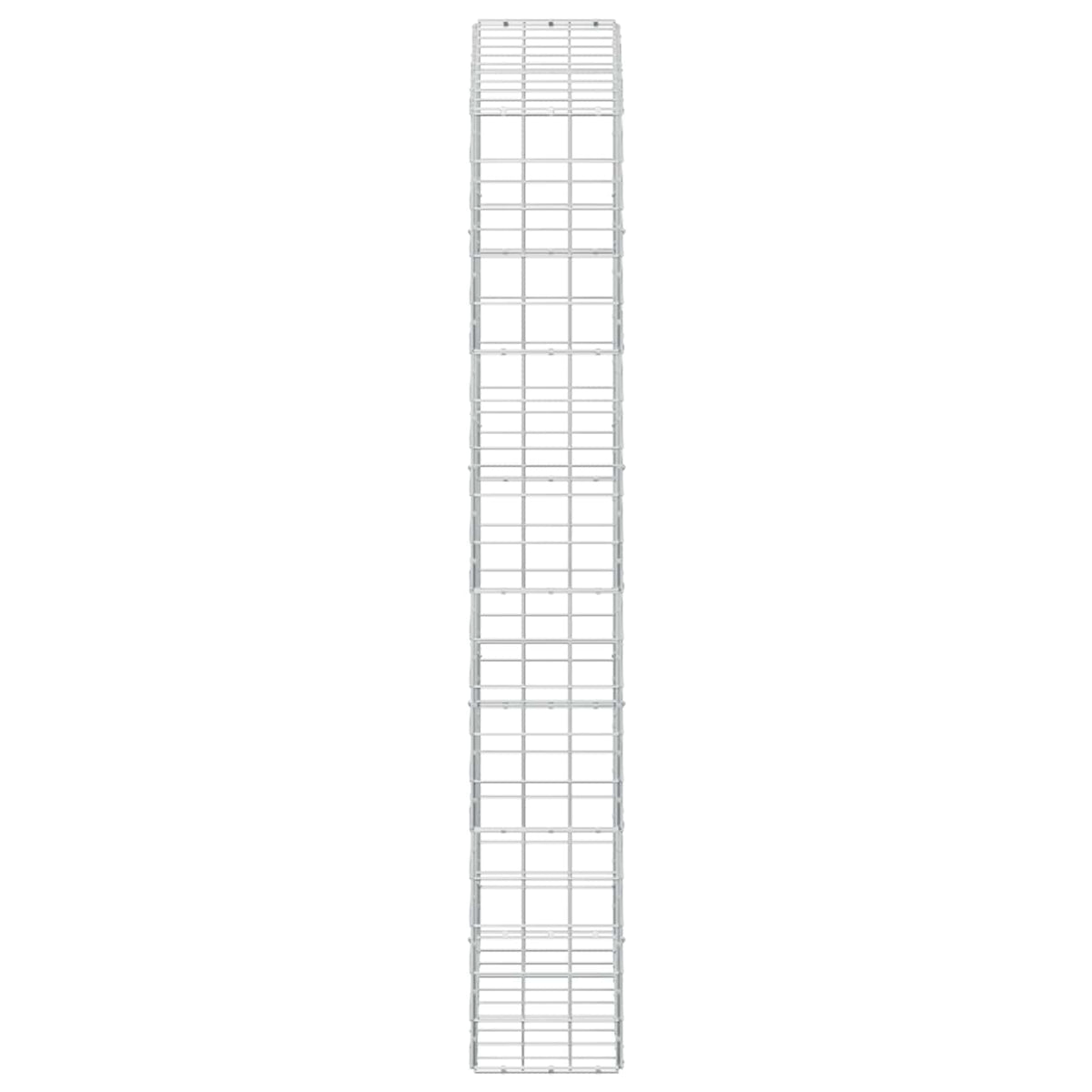 Gabion with 3.5 mm Wire and 10x10 cm Mesh 100x30x200 cm