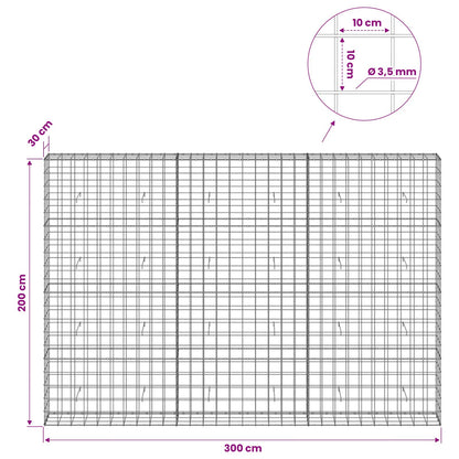 Gabion with 3.5 mm Wire and 10x10 cm Mesh 300x30x200 cm