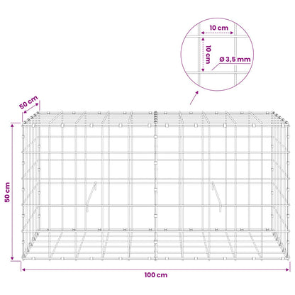 Gabion with 3.5 mm Wire and 10x10 cm Mesh 100x50x50 cm