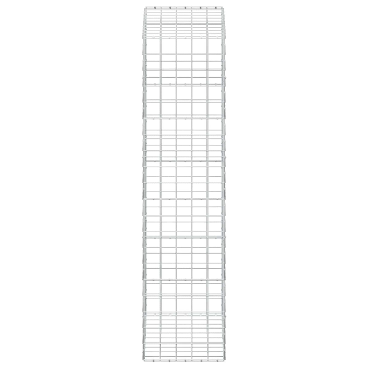 Gabion with 3.5 mm Wire and 10x10 cm Mesh 100x50x200 cm